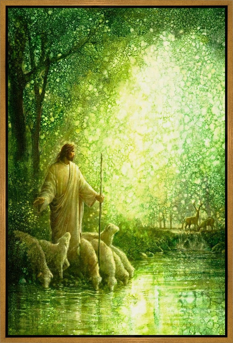 Feed My Sheep
