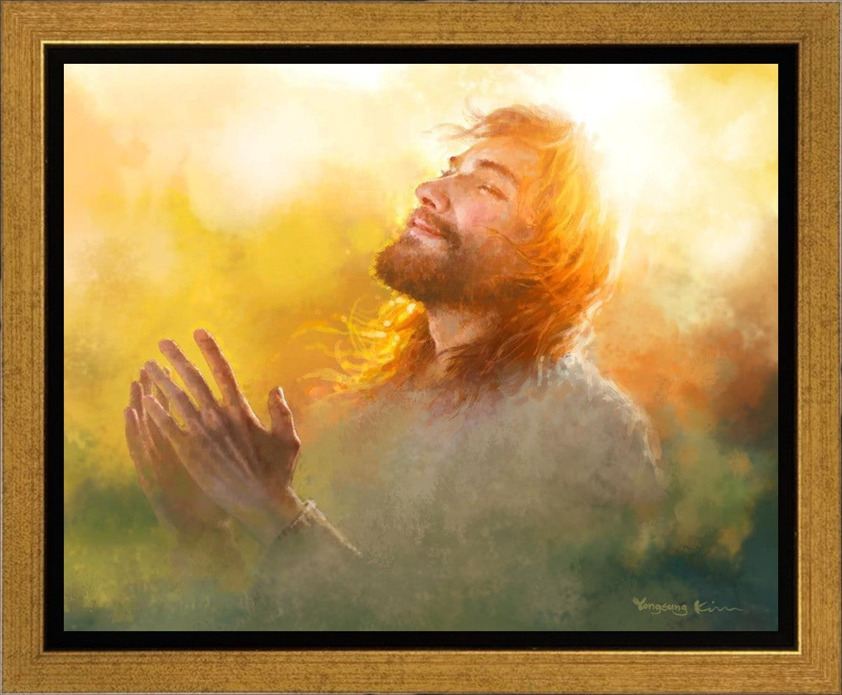 A Perfect Peace
