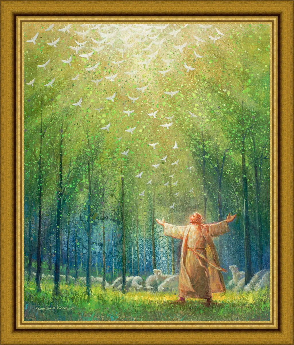 A New Light Shining