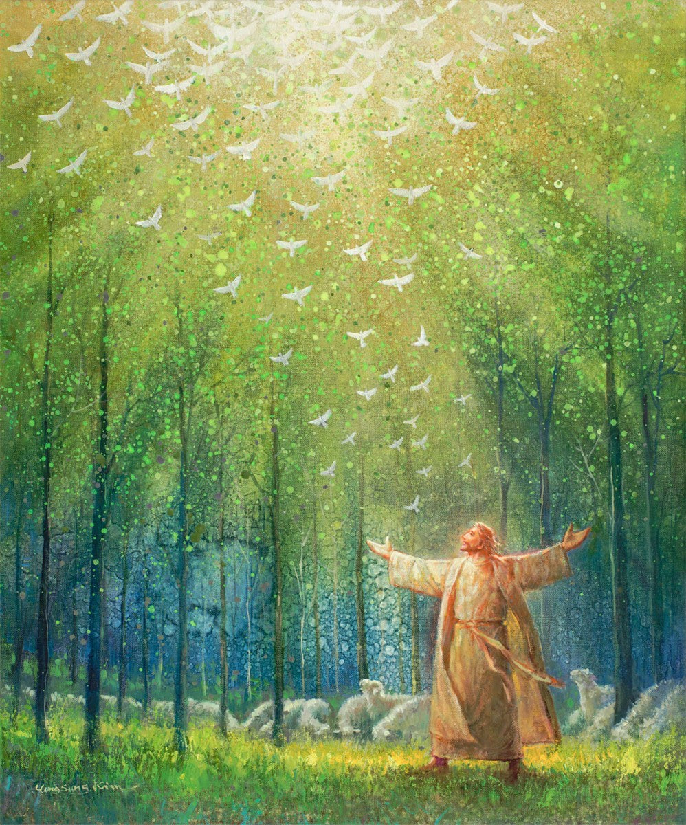 A New Light Shining