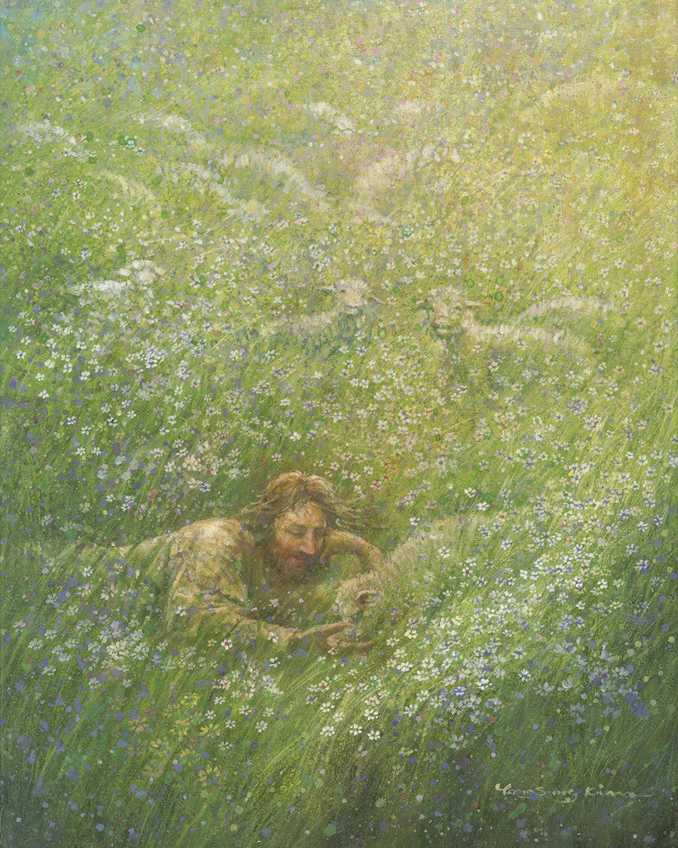 We Are All Wildflowers