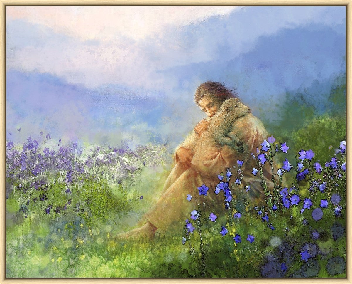 Comforter