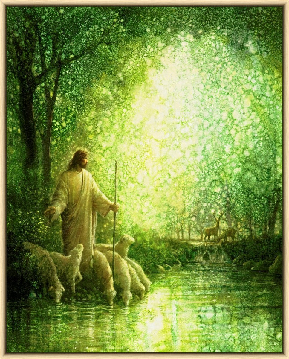 Feed My Sheep
