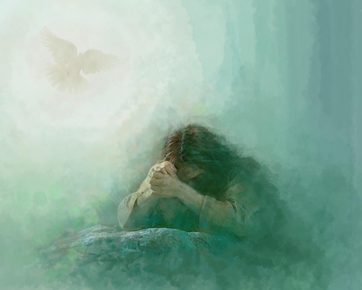 lord of prayer by yongsung kim jesus christ dove praying