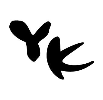 All Yongsung Kim Products