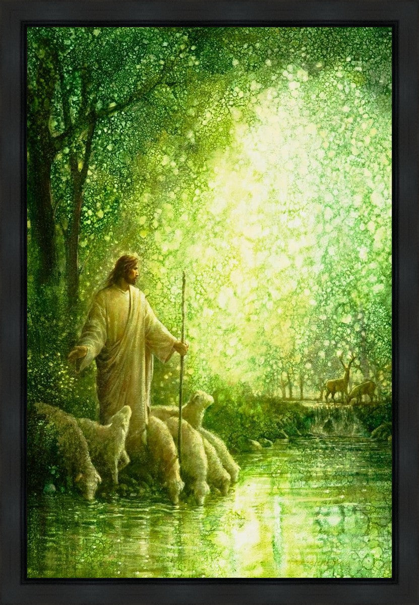 Feed My Sheep