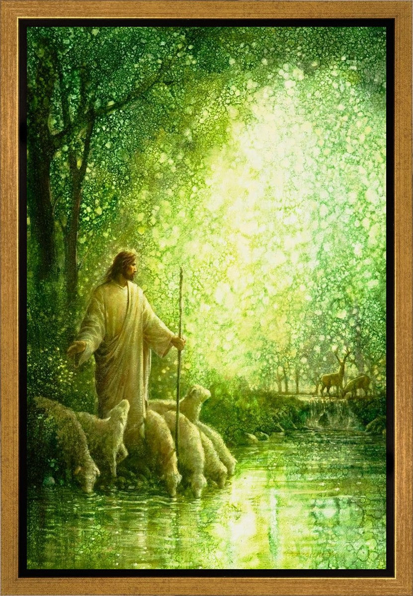 Feed My Sheep