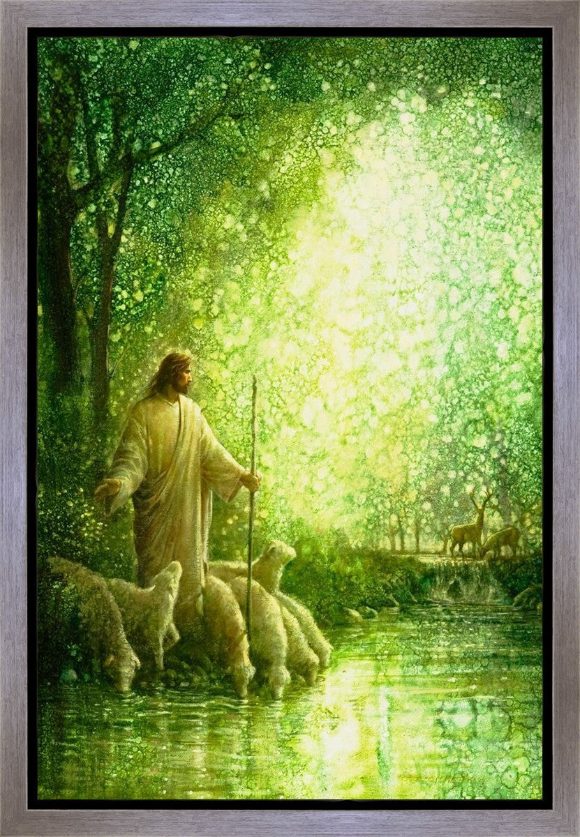 Feed My Sheep