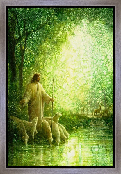 Feed My Sheep