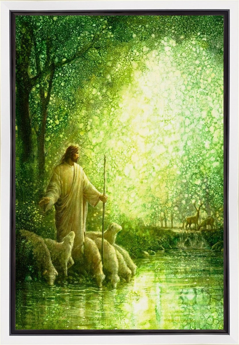 Feed My Sheep