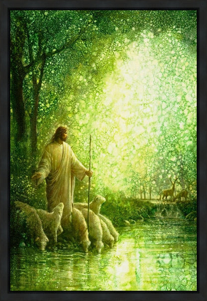 Feed My Sheep