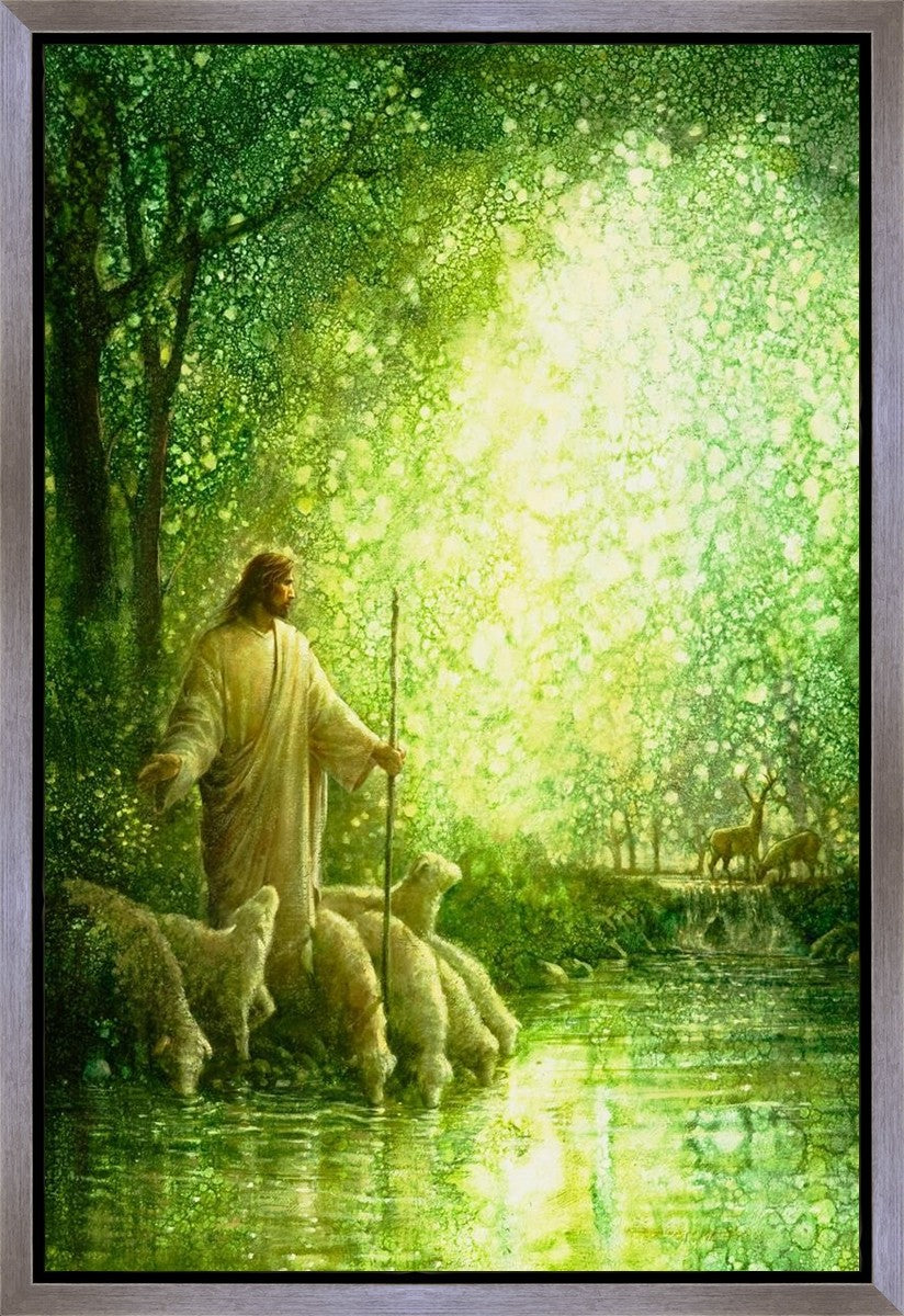 Feed My Sheep