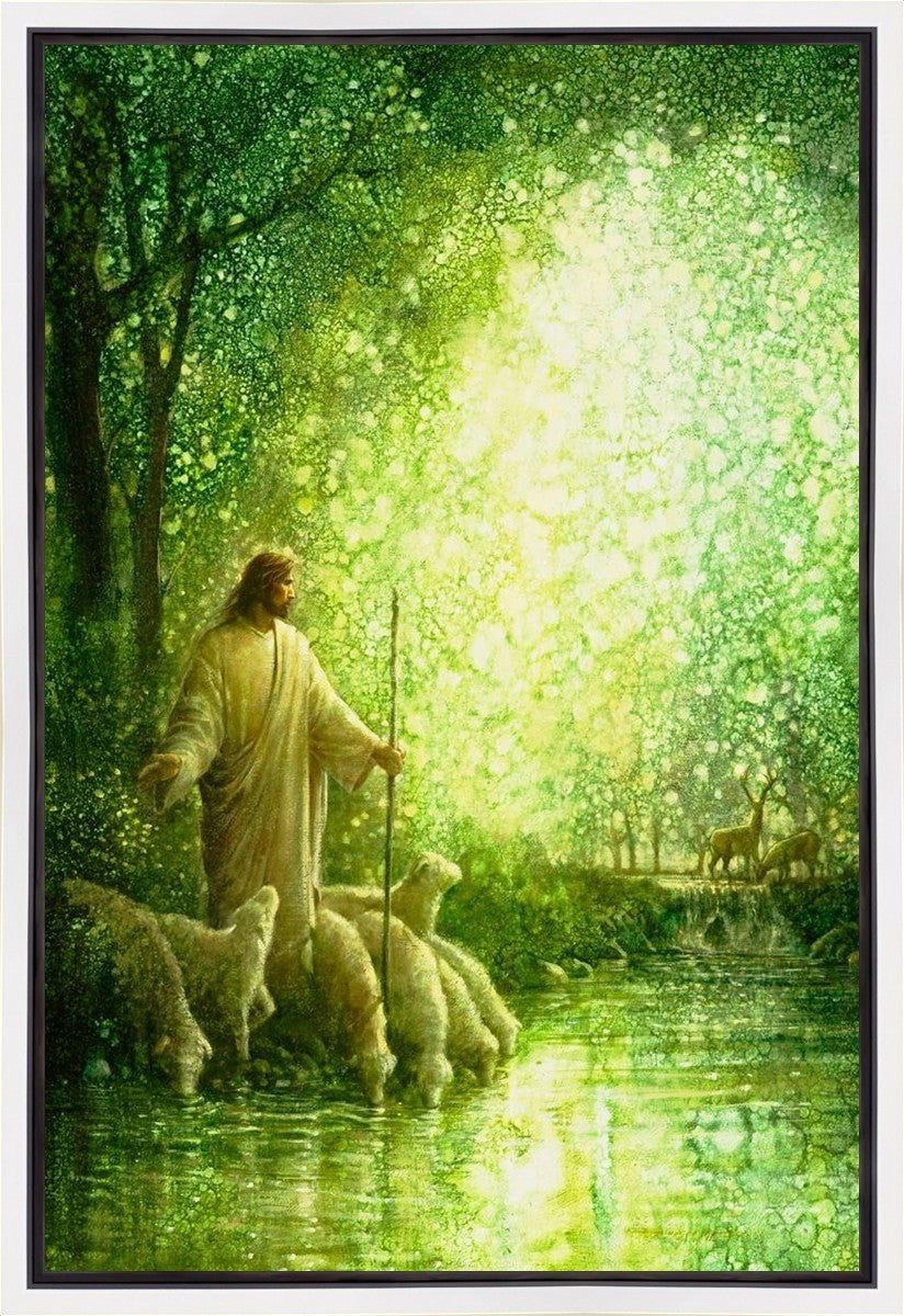 Feed My Sheep