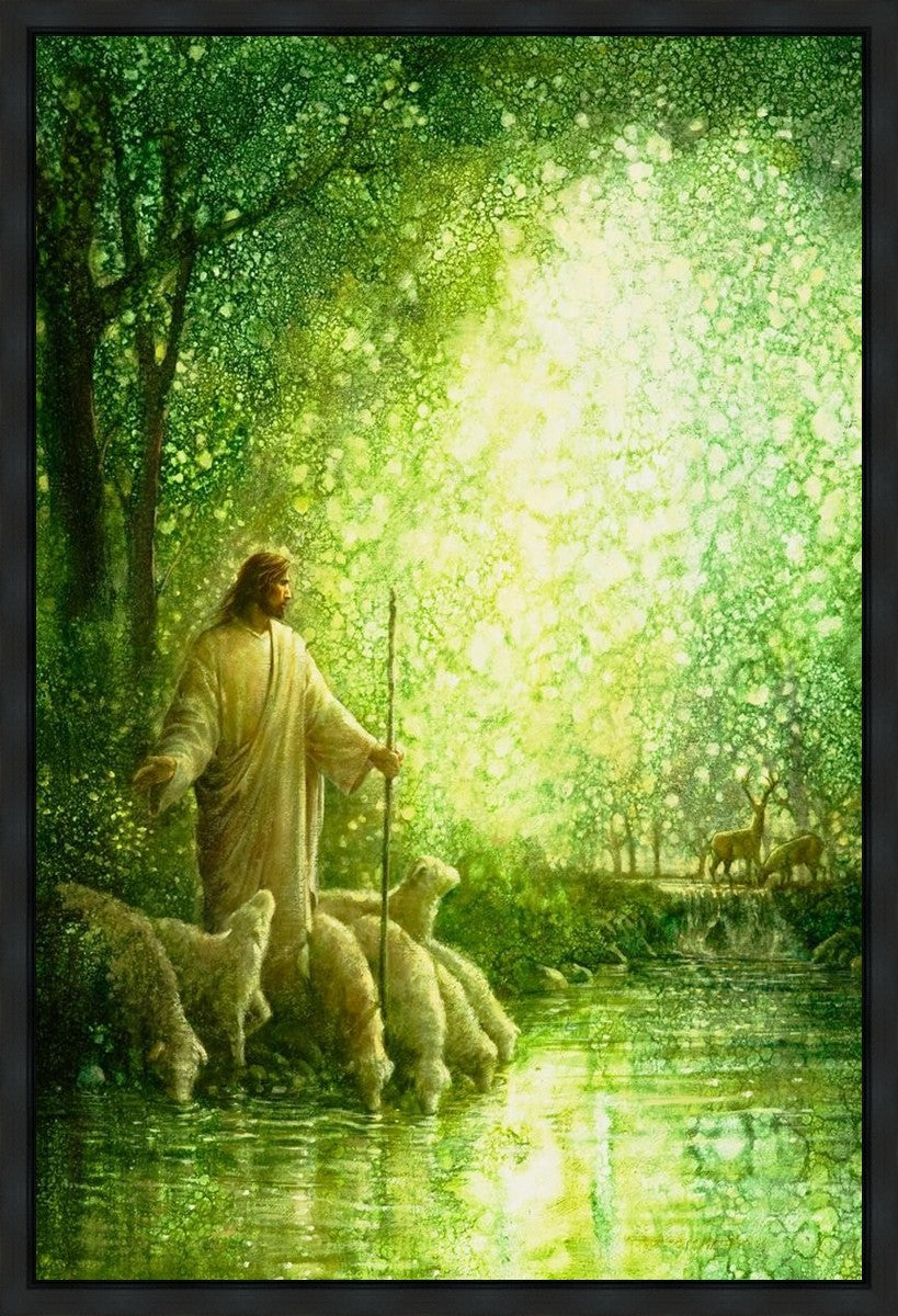 Feed My Sheep