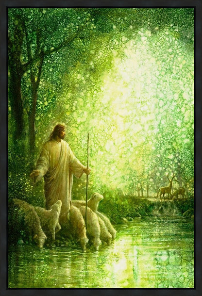 Feed My Sheep