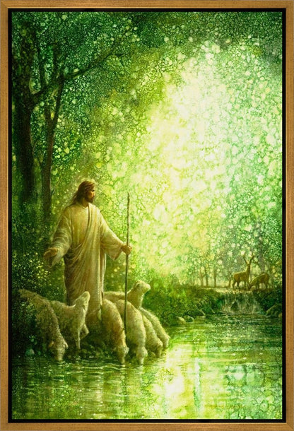 Feed My Sheep