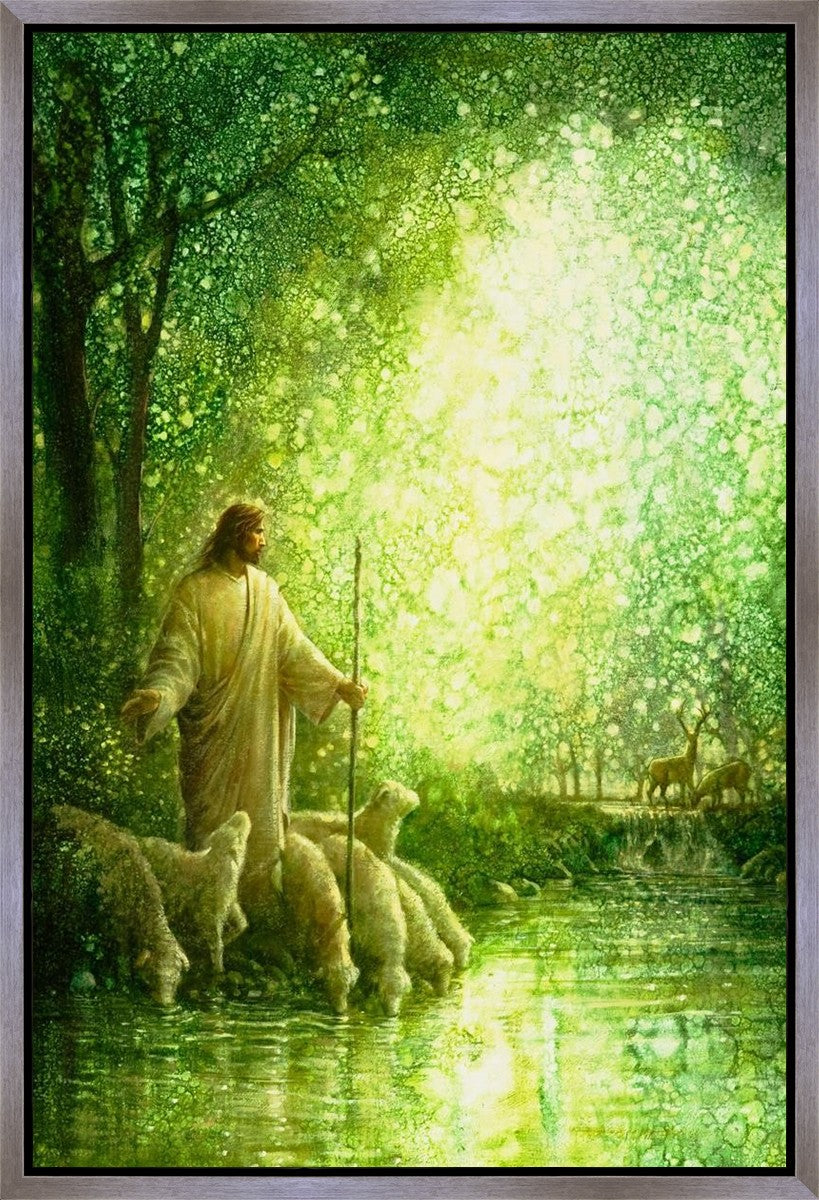 Feed My Sheep