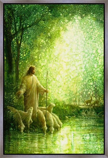 Feed My Sheep