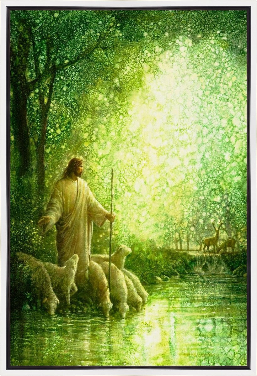 Feed My Sheep