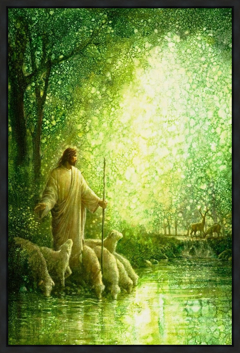 Feed My Sheep