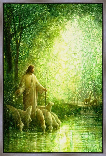Feed My Sheep
