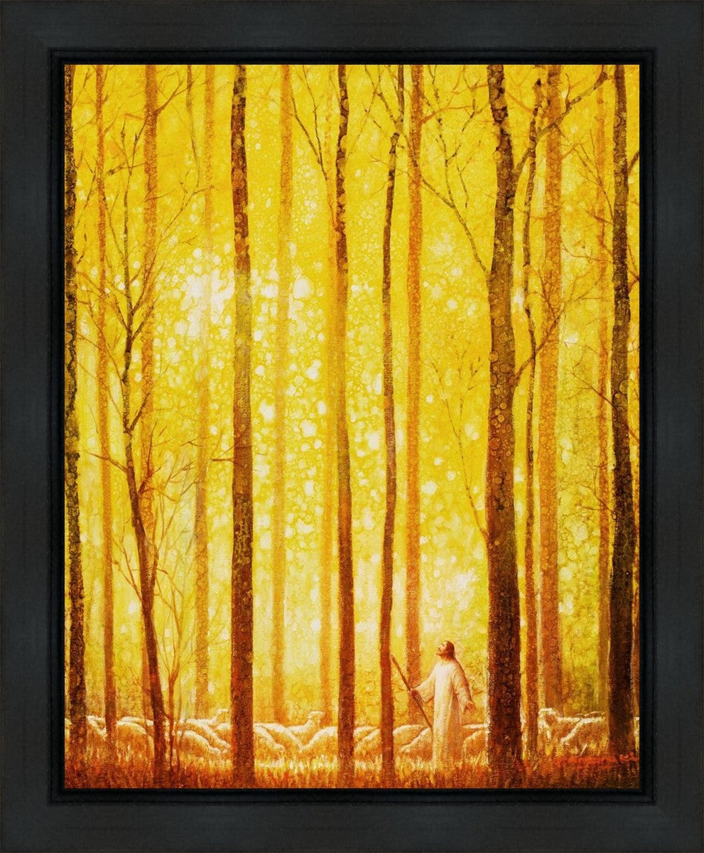 Awesome Wonder Gallery Wrap