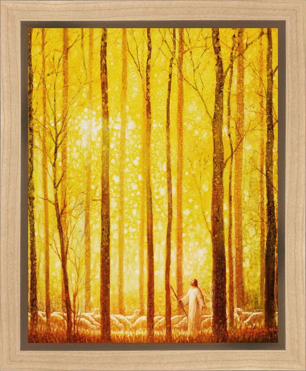 Awesome Wonder Gallery Wrap