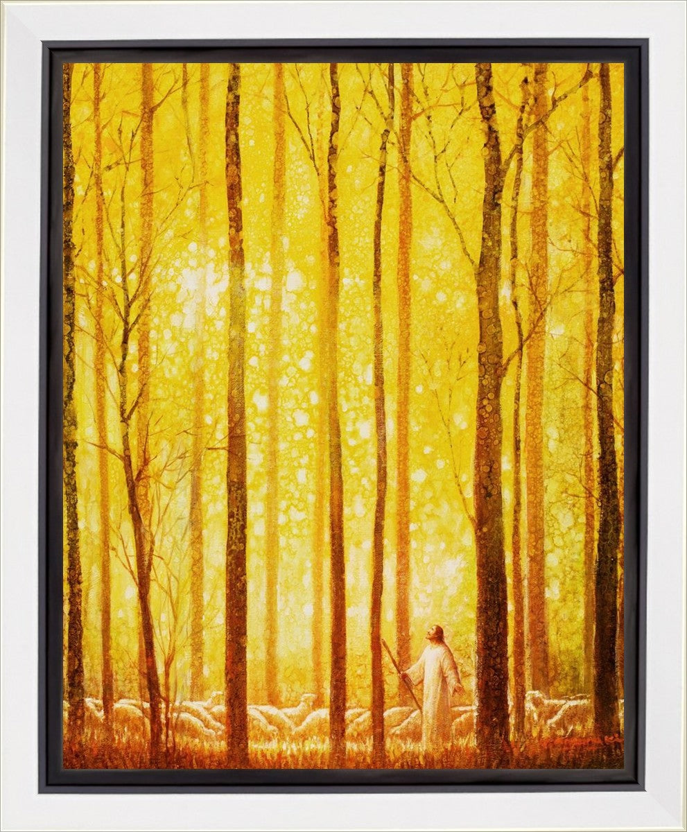Awesome Wonder Gallery Wrap
