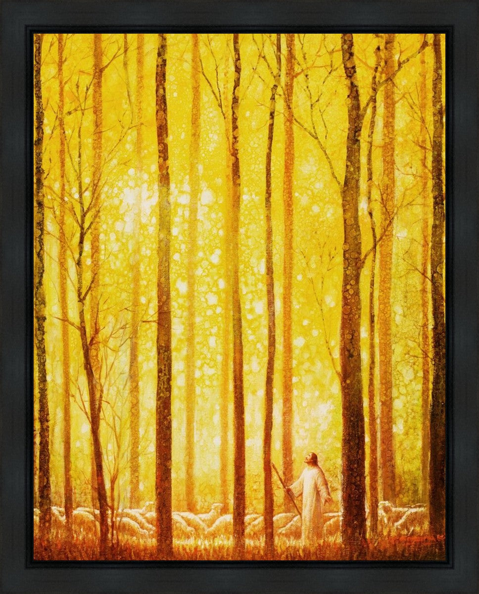 Awesome Wonder Gallery Wrap