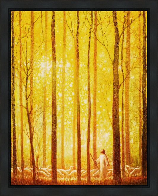 Awesome Wonder Gallery Wrap