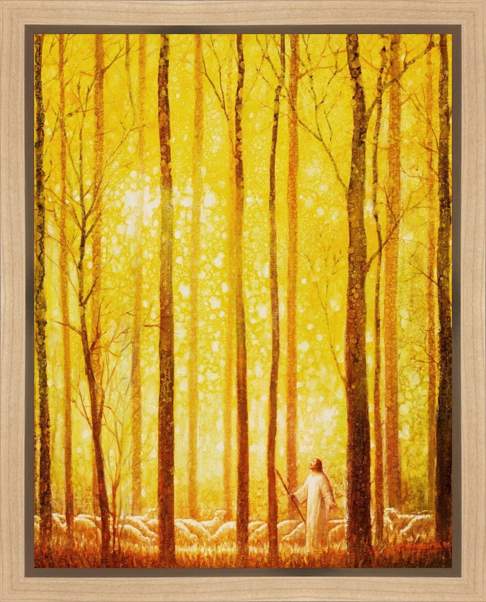 Awesome Wonder Gallery Wrap