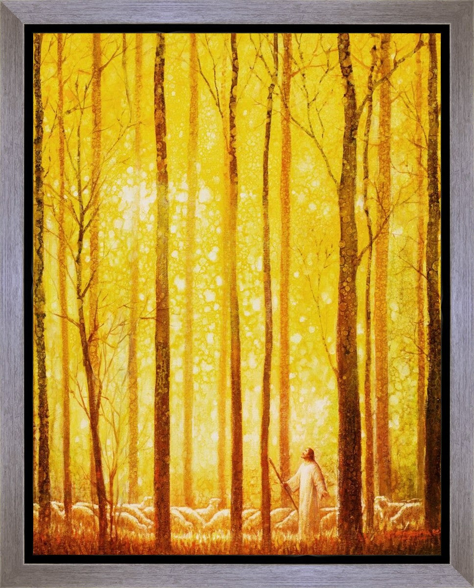 Awesome Wonder Gallery Wrap