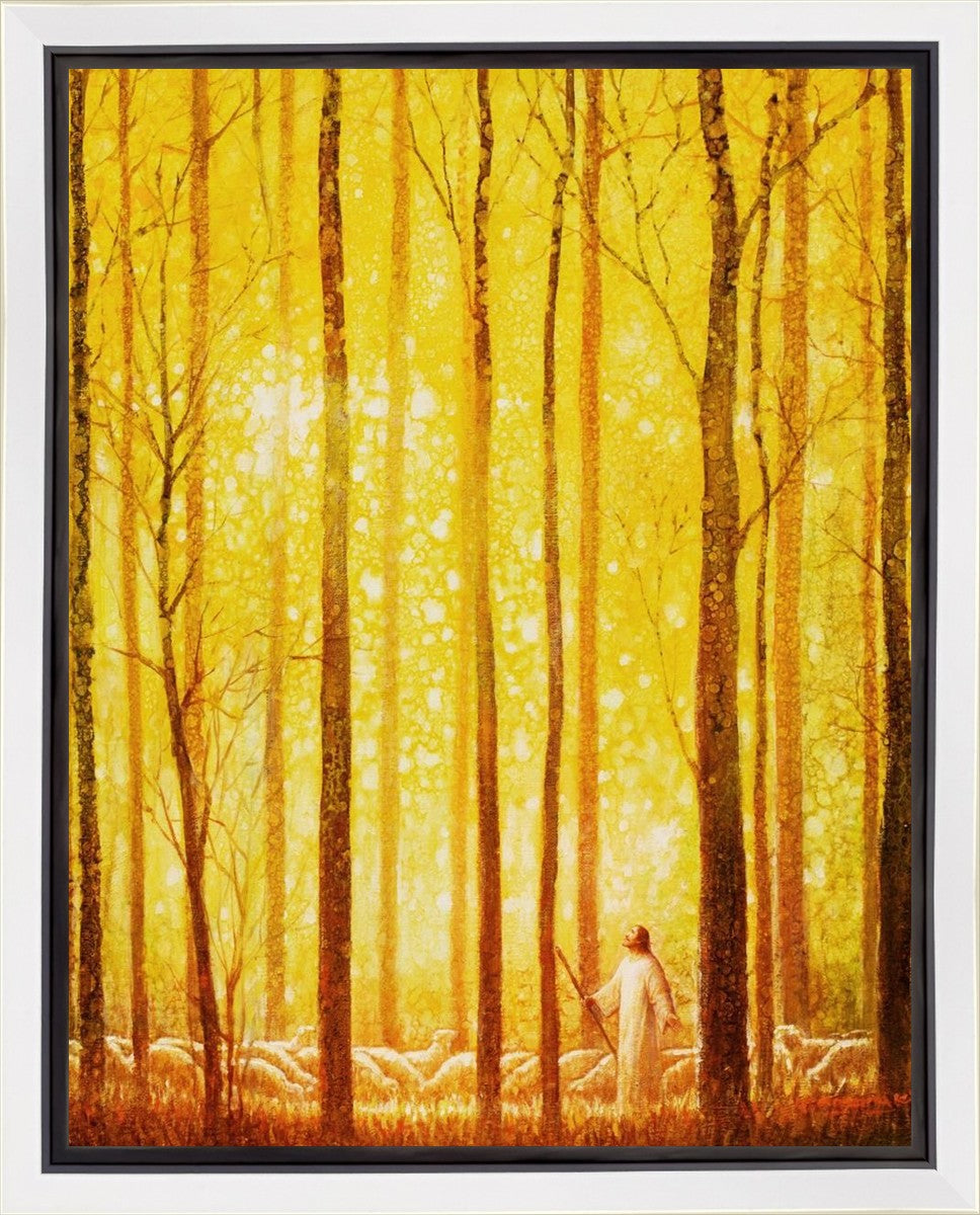 Awesome Wonder Gallery Wrap