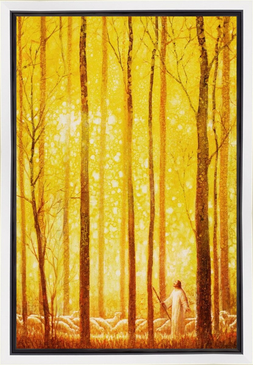 Awesome Wonder Gallery Wrap