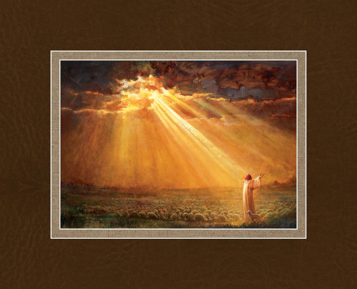 Rejoice in His Light