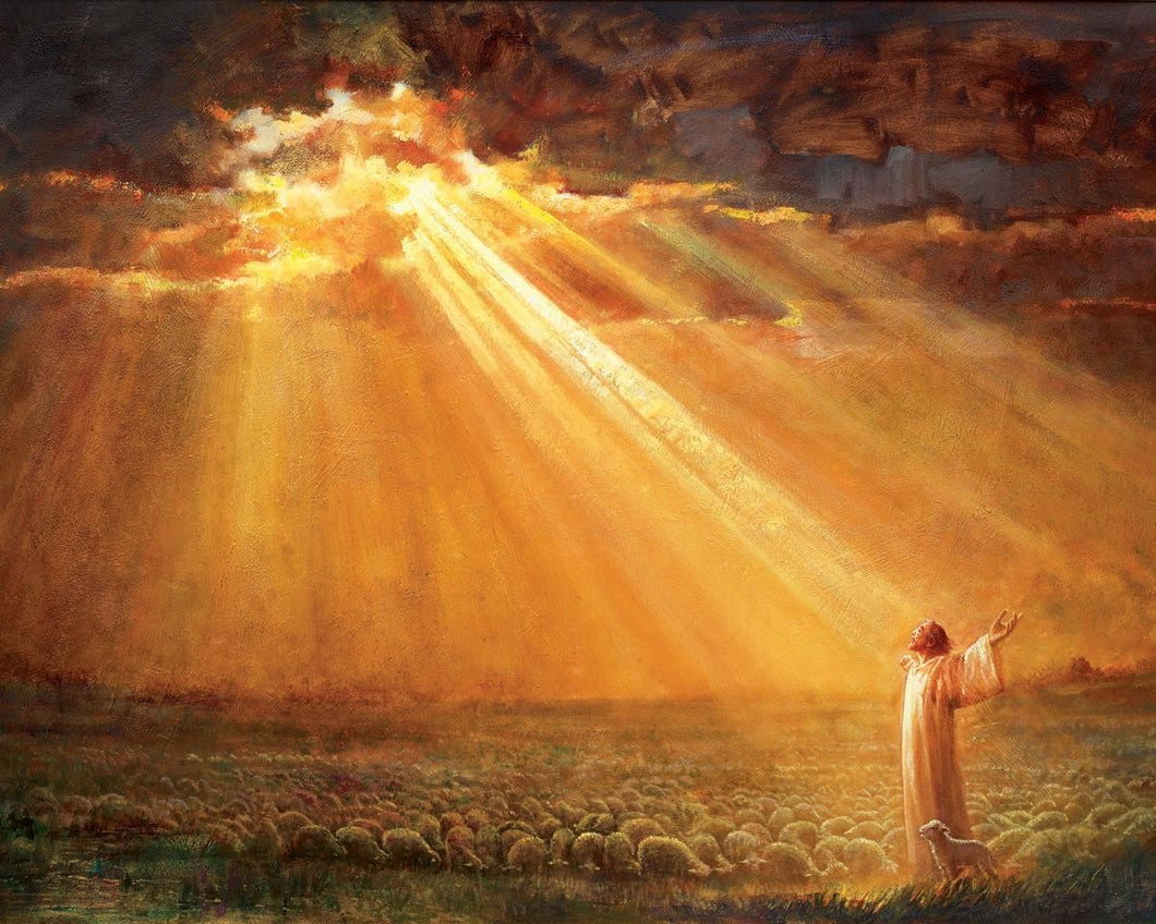 Rejoice in His Light Gallery Wrap