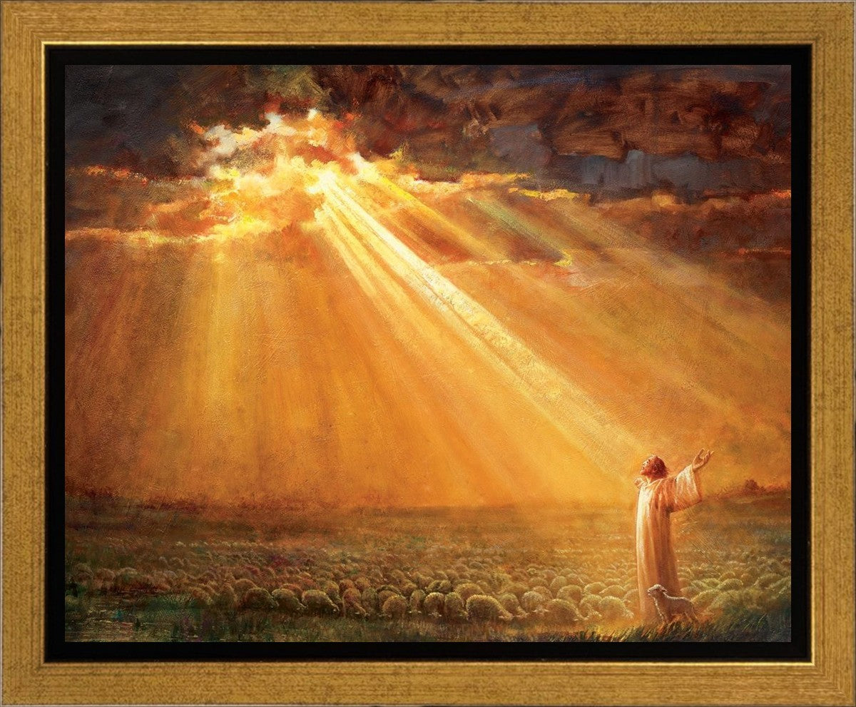 Rejoice in His Light