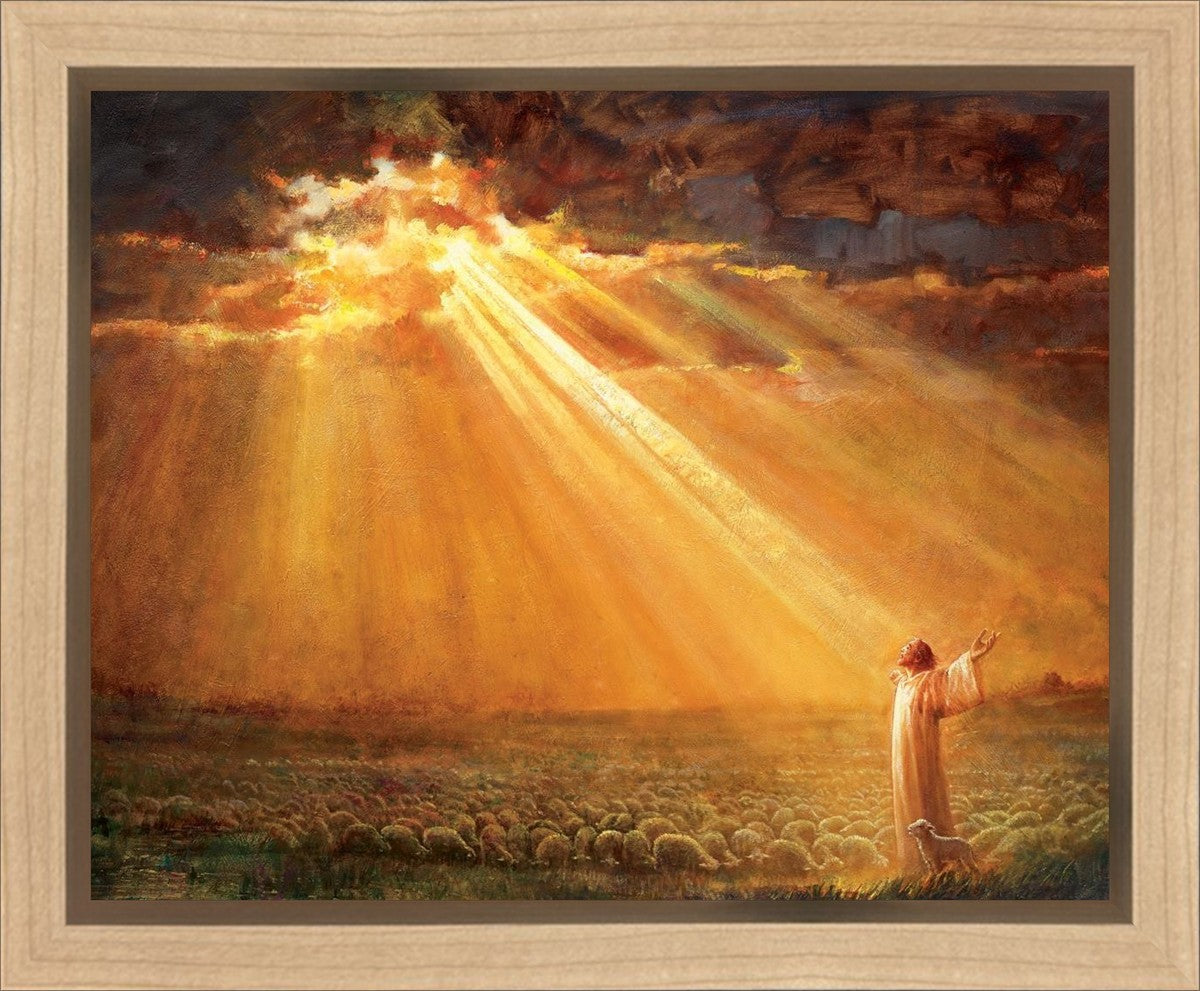 Rejoice in His Light Gallery Wrap