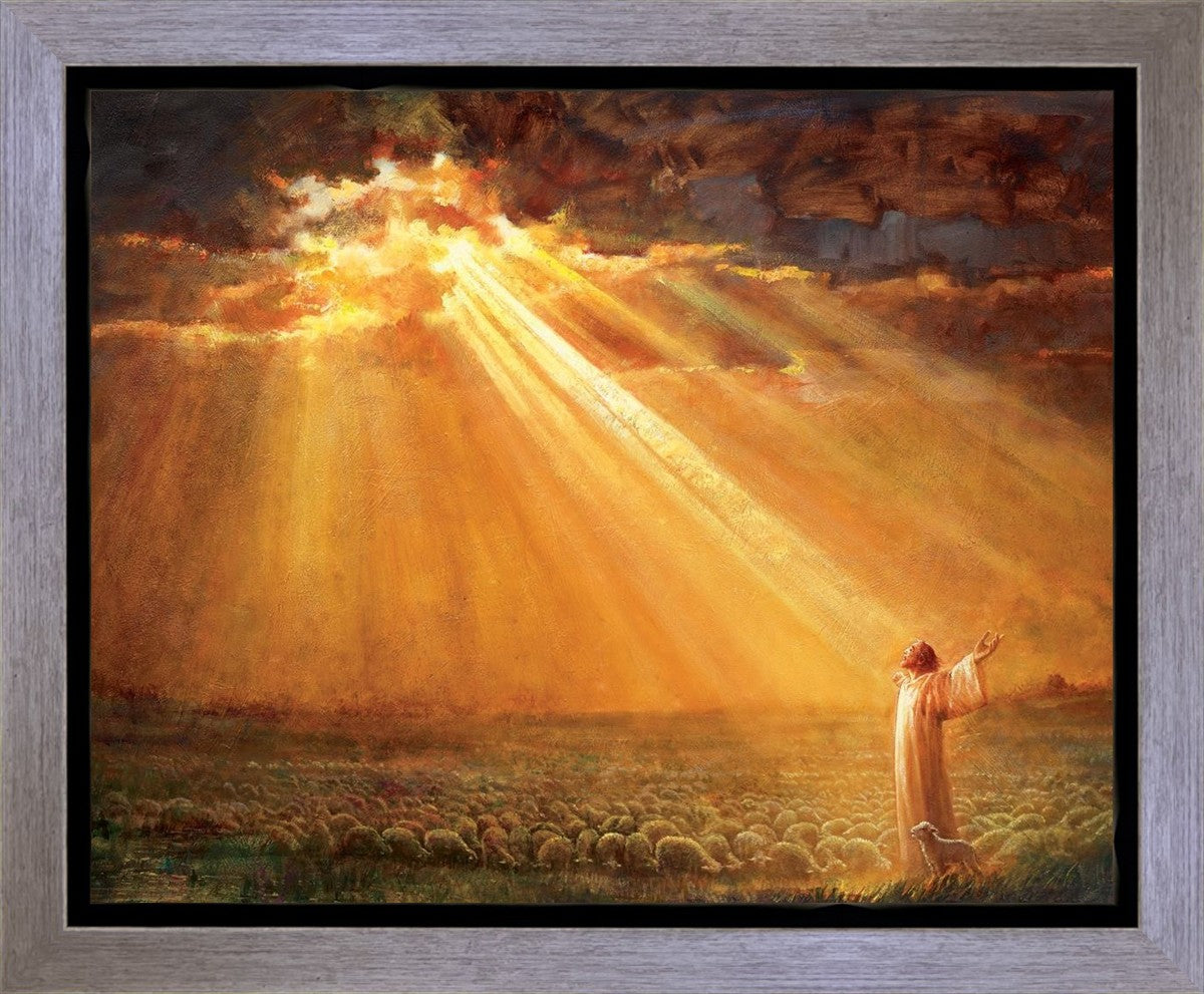 Rejoice in His Light