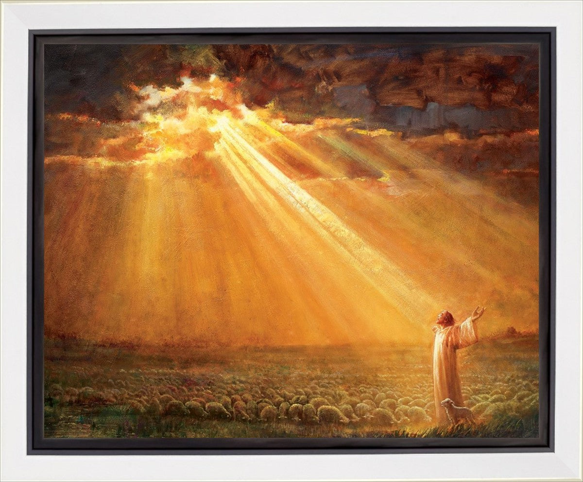 Rejoice in His Light