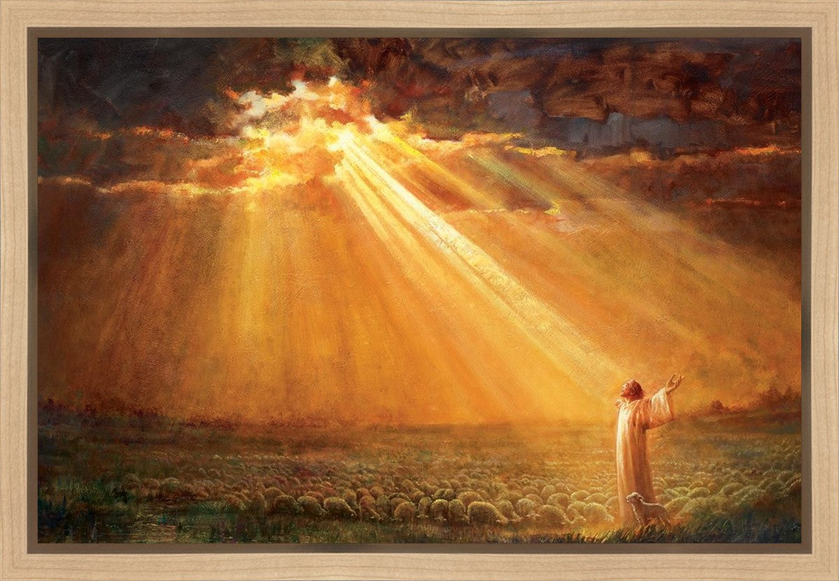 Rejoice in His Light Gallery Wrap