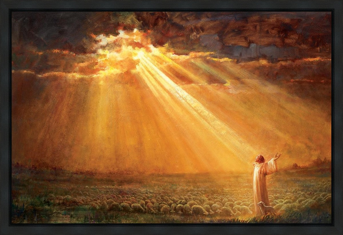 Rejoice in His Light