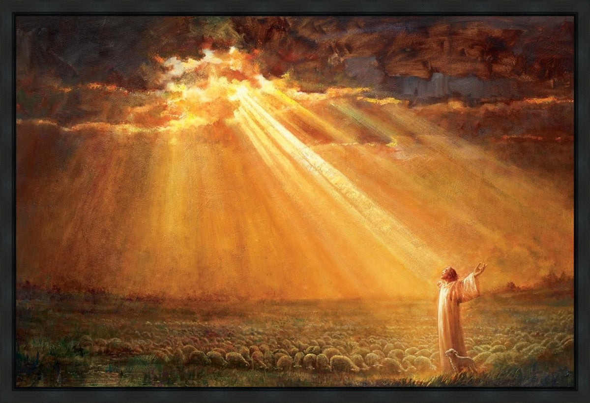 Rejoice in His Light