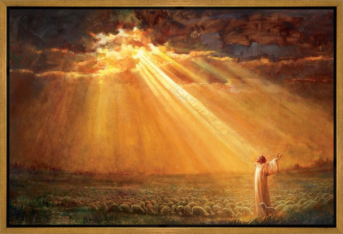 Rejoice in His Light