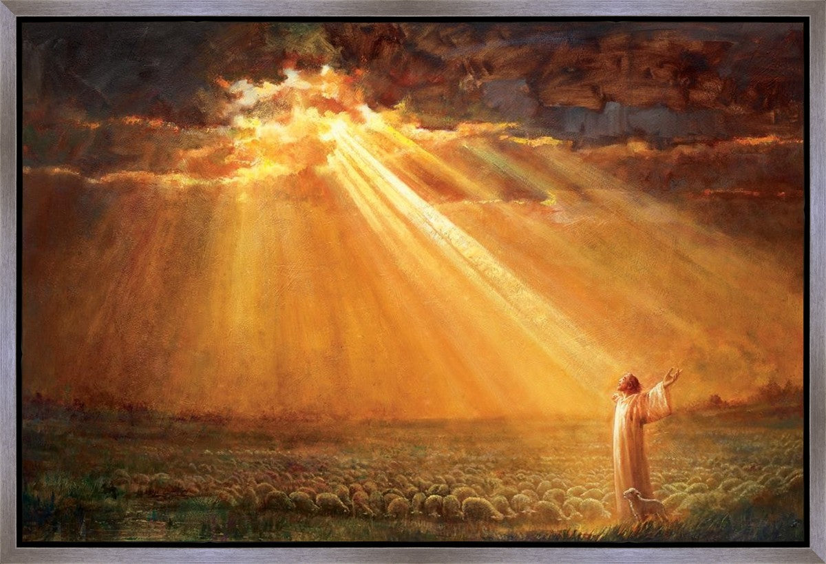 Rejoice in His Light