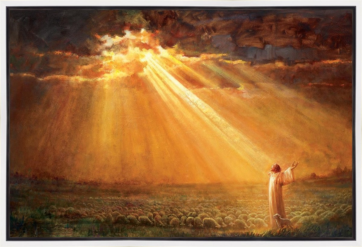 Rejoice in His Light