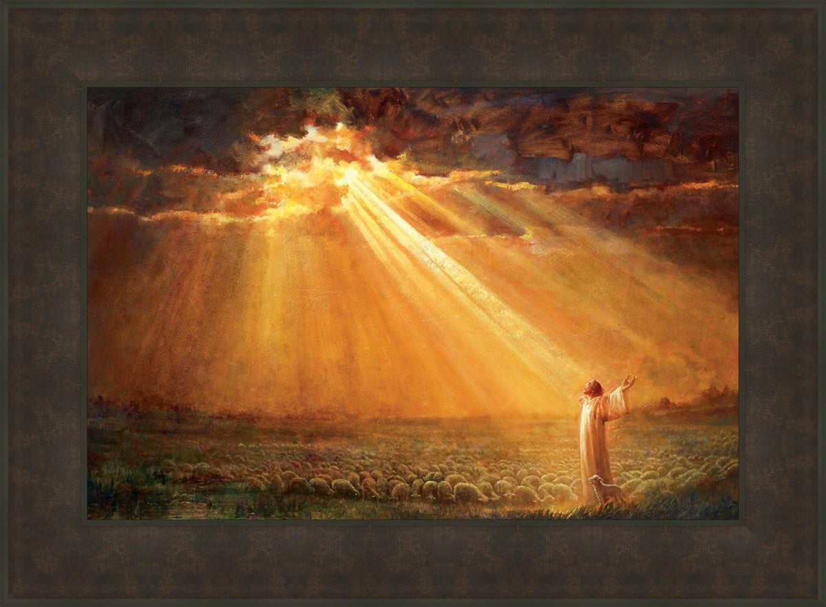 Rejoice in His Light