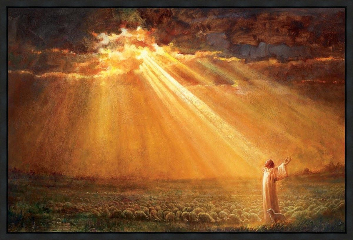 Rejoice in His Light