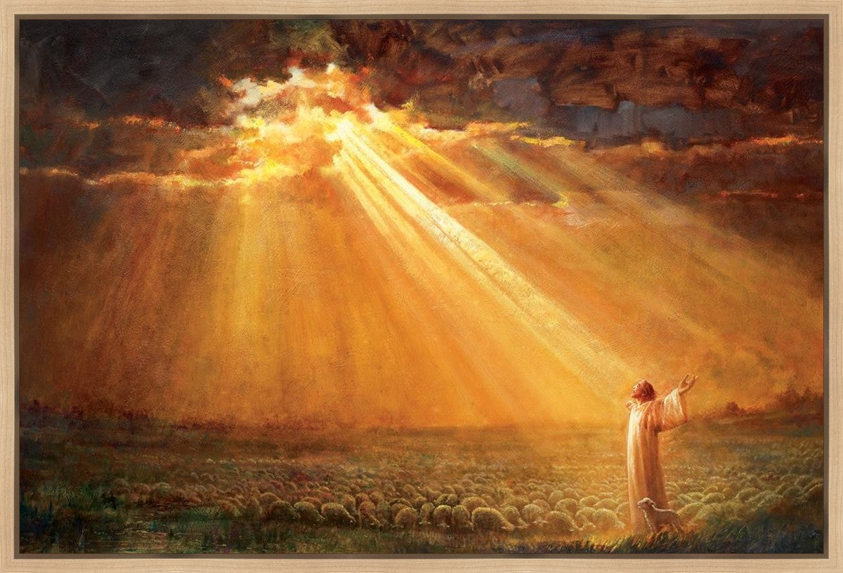 Rejoice in His Light Gallery Wrap