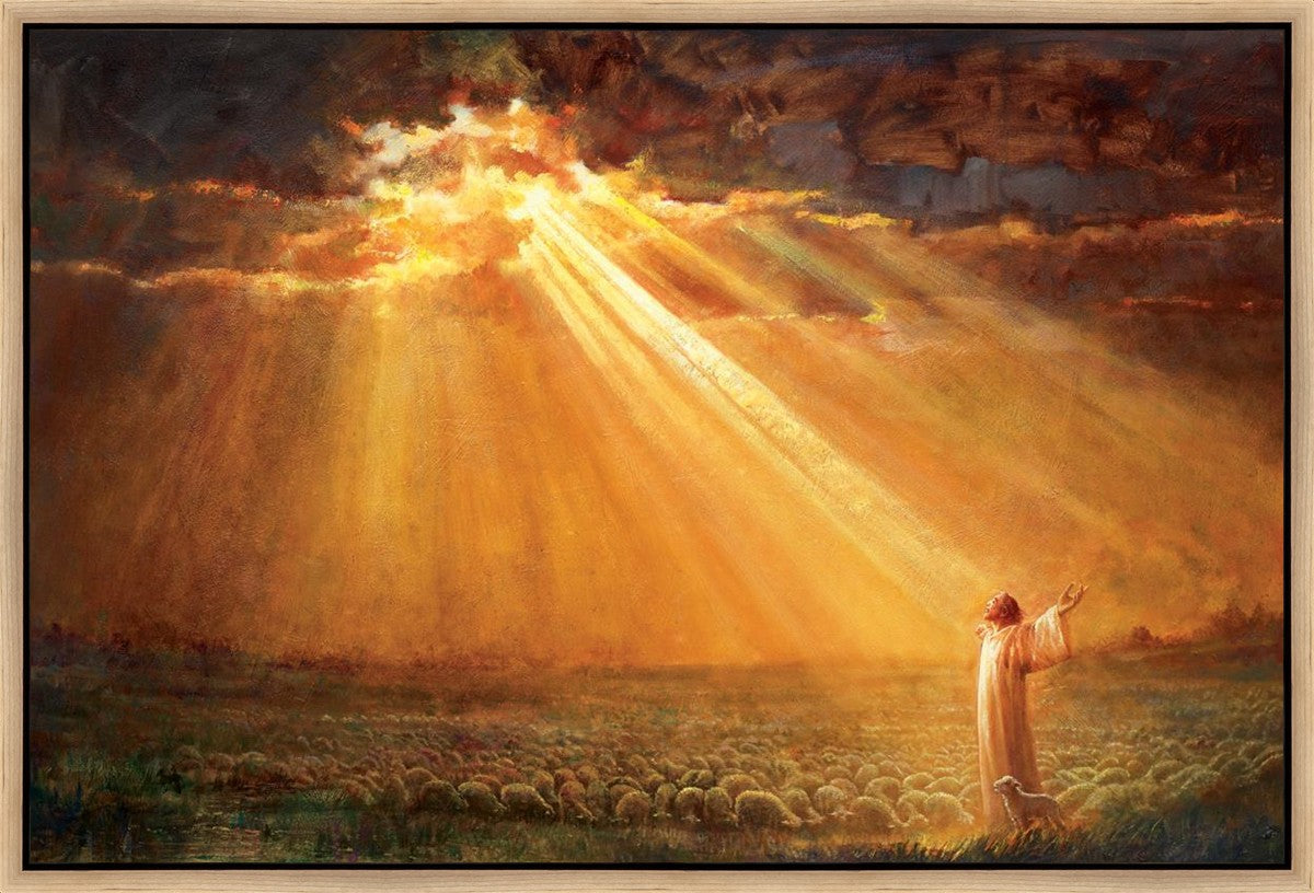 Rejoice in His Light Gallery Wrap